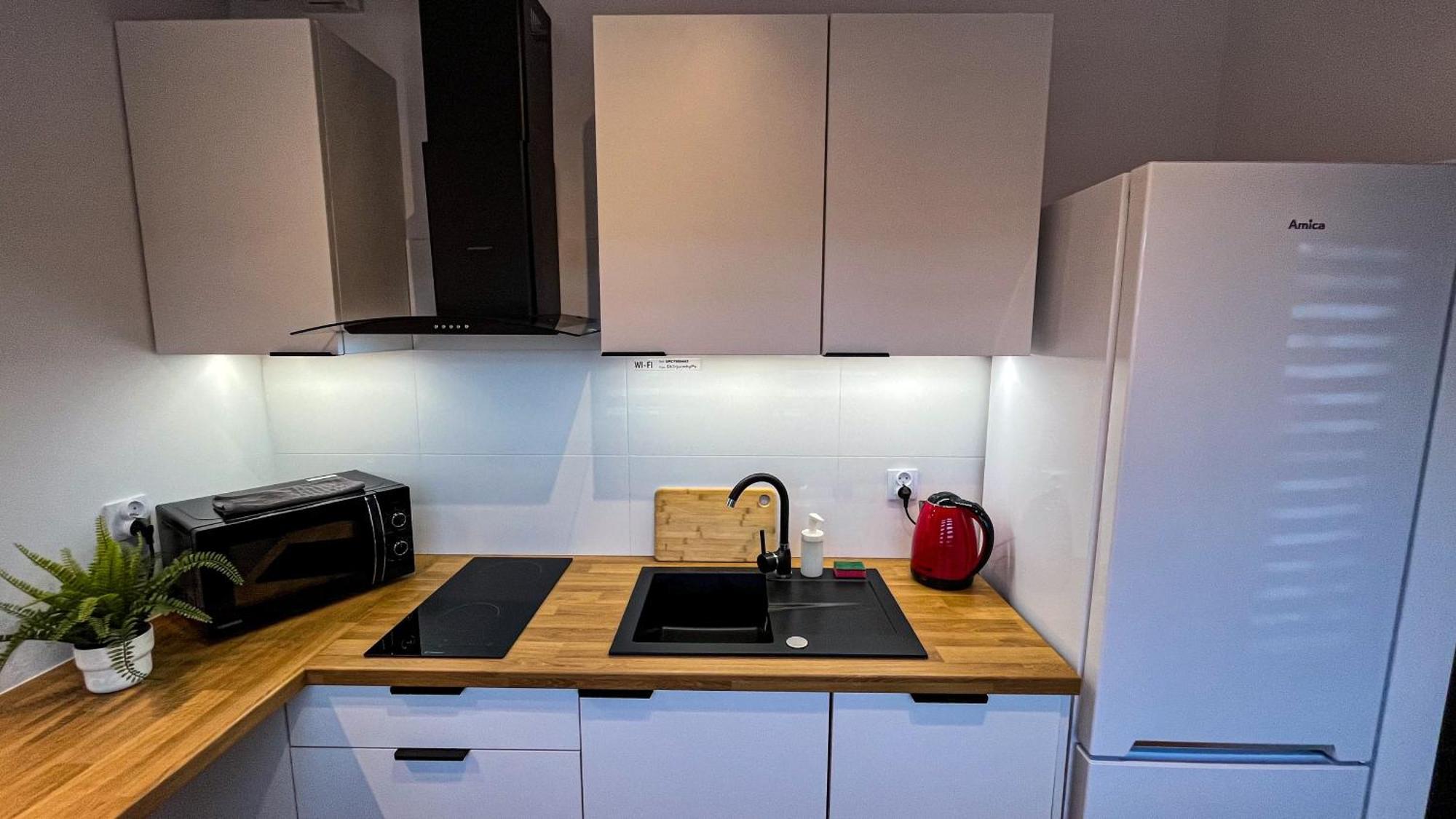 Apartament Lublin Centrum „Ice Cat” エクステリア 写真